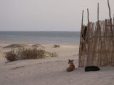 Foto: Kitesurfing