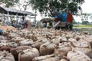 Foto: The Land of Shamans. Nishi and Apatani Tribes. Part 1
