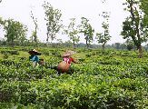 Foto: The Land of Shamans. Nishi and Apatani Tribes. Part 1