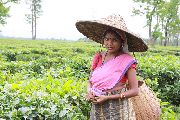 Foto: The Land of Shamans. Nishi and Apatani Tribes. Part 1