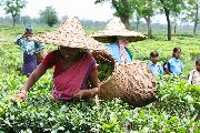 Foto: The Land of Shamans. Nishi and Apatani Tribes. Part 1