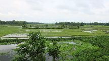 Foto: The Land of Shamans. Nishi and Apatani Tribes. Part 1