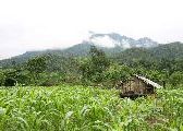 Foto: The Land of Shamans. Nishi and Apatani Tribes. Part 1