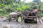 Foto: The Land of Shamans. Nishi and Apatani Tribes. Part 1