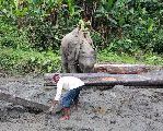 Foto: The Land of Shamans. Nishi and Apatani Tribes. Part 1