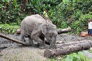 Foto: The Land of Shamans. Nishi and Apatani Tribes. Part 1