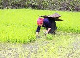 Foto: The Land of Shamans. Nishi and Apatani Tribes. Part 1