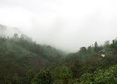 Foto: The Land of Shamans. Nishi and Apatani Tribes. Part 1
