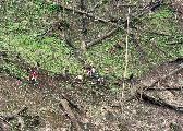 Foto: The Land of Shamans. Nishi and Apatani Tribes. Part 1