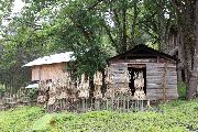 Foto: The Land of Shamans. Nishi and Apatani Tribes. Part 1