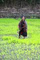 Foto: The Land of Shamans. Nishi and Apatani Tribes. Part 1