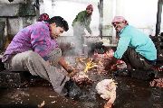 Foto: The Land of Shamans. Nishi and Apatani Tribes. Part 1