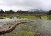 Foto: The Land of Shamans. Nishi and Apatani Tribes. Part 1