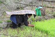 Foto: The Land of Shamans. Nishi and Apatani Tribes. Part 1