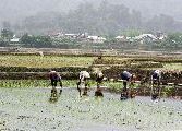 Foto: The Land of Shamans. Nishi and Apatani Tribes. Part 1