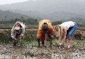 Foto: The Land of Shamans. Nishi and Apatani Tribes. Part 1