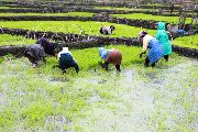 Foto: The Land of Shamans. Nishi and Apatani Tribes. Part 1