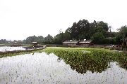 Foto: The Land of Shamans. Nishi and Apatani Tribes. Part 1