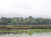 Foto: The Land of Shamans. Nishi and Apatani Tribes. Part 1