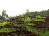 Foto: The Land of Shamans. Nishi and Apatani Tribes. Part 1
