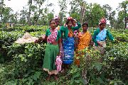 Foto: The Land of Shamans. Nishi and Apatani Tribes. Part 1