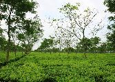 Foto: The Land of Shamans. Nishi and Apatani Tribes. Part 1
