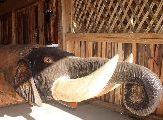 Foto: Different India. Different Tribe, Part III