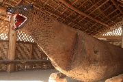 Foto: Different India. Different Tribe, Part III