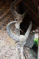 Foto: Different India. Different Tribe, Part III