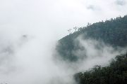 Foto: Different India. Different Tribe, Part III