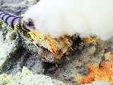 Foto: Sulfur Crater in Moonlight