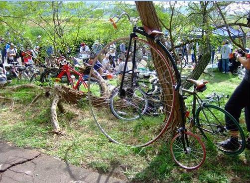 Culture Tourism Destinations in Tokyo