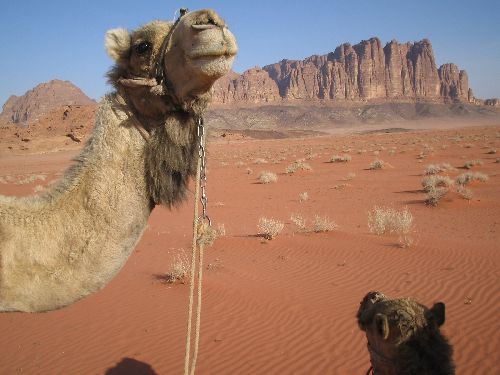 The Way to Wadi Rum