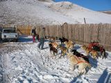Foto: Dog sledding trip to Mongolia