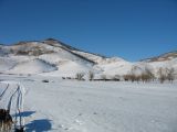 Foto: Dog sledding trip to Mongolia