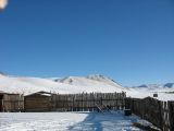 Foto: Dog sledding trip to Mongolia
