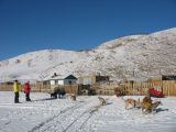 Foto: Dog sledding trip to Mongolia
