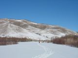 Foto: Dog sledding trip to Mongolia