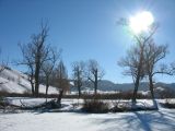 Foto: Dog sledding trip to Mongolia