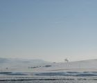Foto: Dog sledding trip to Mongolia