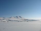 Foto: Dog sledding trip to Mongolia
