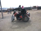 Foto: Dog sledding trip to Mongolia