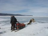 Foto: Dog sledding trip to Mongolia