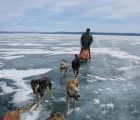 Foto: Dog sledding trip to Mongolia