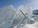 Foto: Dog sledding trip to Mongolia