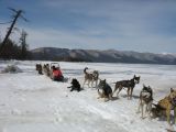 Foto: Dog sledding trip to Mongolia