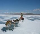 Foto: Dog sledding trip to Mongolia