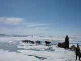 Foto: Dog sledding trip to Mongolia