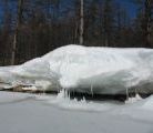 Foto: Dog sledding trip to Mongolia