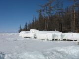 Foto: Dog sledding trip to Mongolia